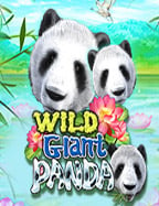 สูตรลับ สล็อต ยิง ปลา ออนไลน์เว็บ เล่น ไพ่ ออนไลน์